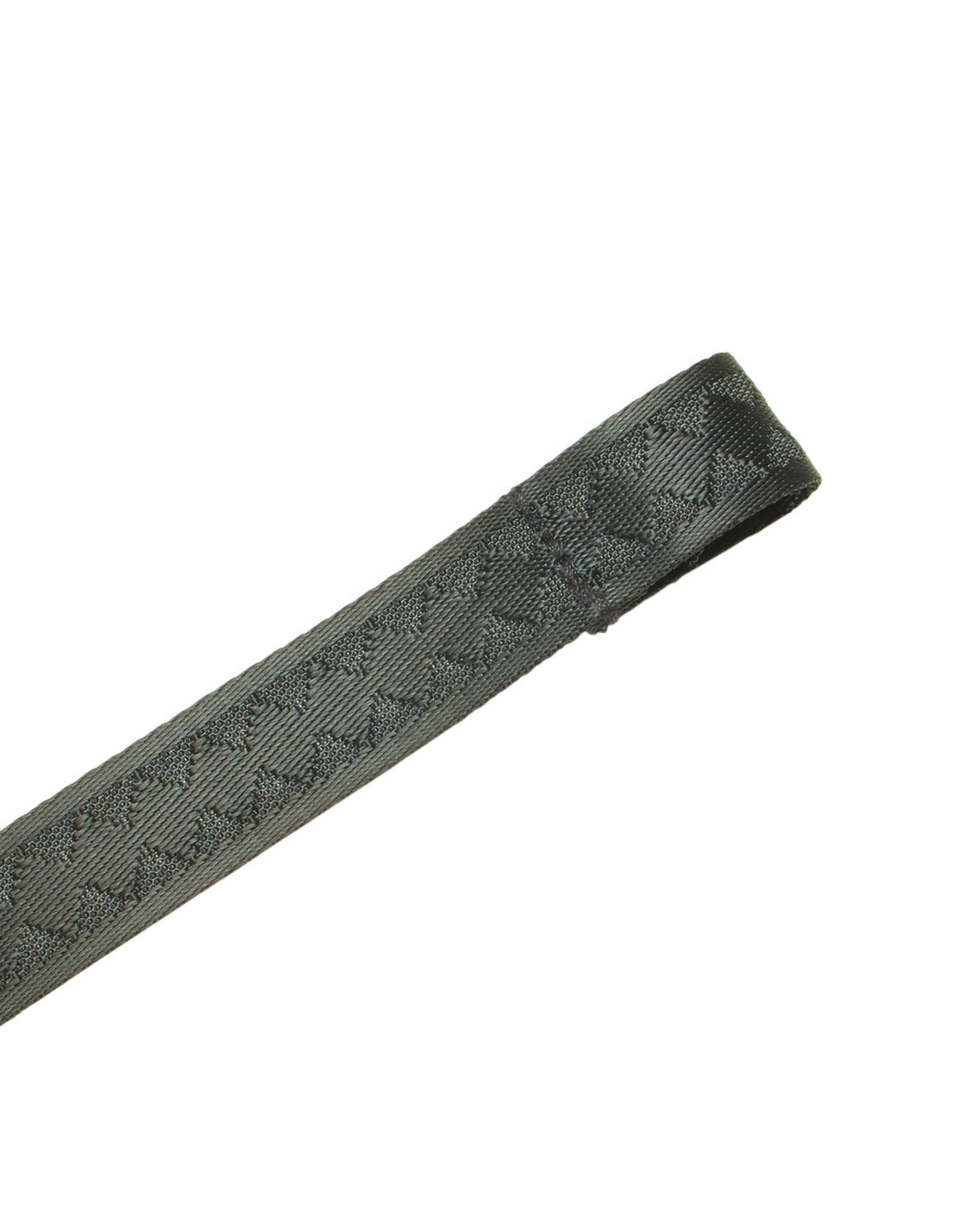 ZOMBIE SHARK APOCALYPSE