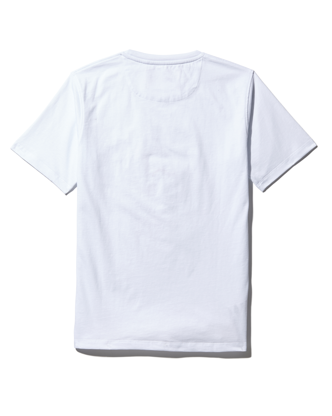 YOUTH ANATOMY BEAR T-SHIRT WHITE